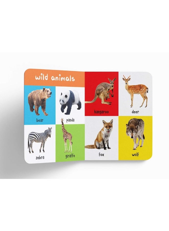 Wonder House Books My First 100 Animals And Birds - Image 5