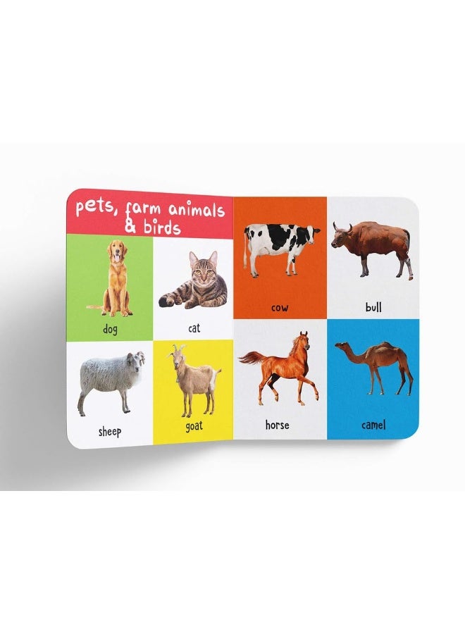 Wonder House Books My First 100 Animals And Birds - Image 4