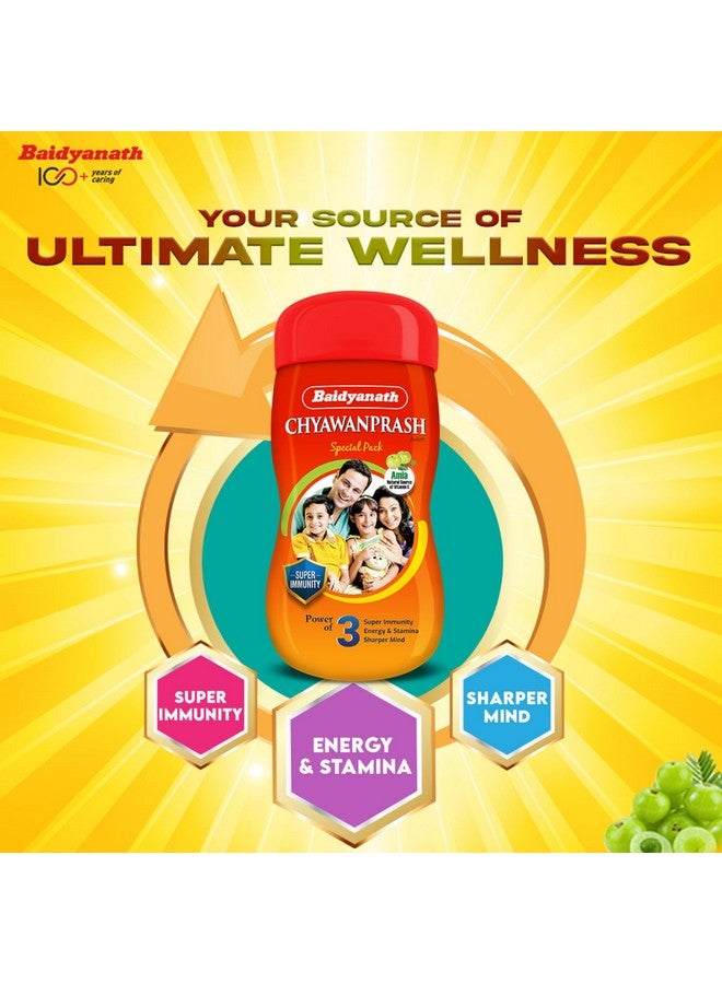 Baidyanath بايدياناث شياوانبراش الخاص - 950 جرام | معزز المناعة | يعزز القوة والقدرة على التحمل | مصنوع من 52 مكونًا - Image 4