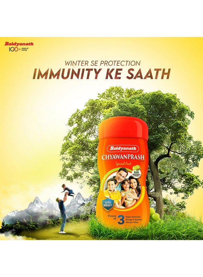 Baidyanath بايدياناث شياوانبراش الخاص - 950 جرام | معزز المناعة | يعزز القوة والقدرة على التحمل | مصنوع من 52 مكونًا - Image 2