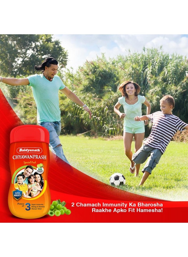 Baidyanath بايدياناث شياوانبراش الخاص - 950 جرام | معزز المناعة | يعزز القوة والقدرة على التحمل | مصنوع من 52 مكونًا - Image 5