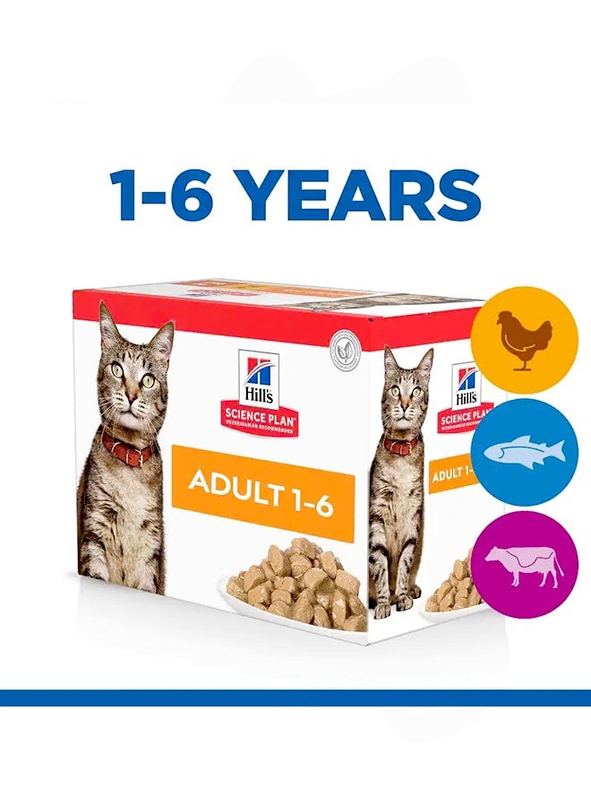 Hill's Adult 1-6 Multipack - 85GM (Pack Of 12) - Image 4