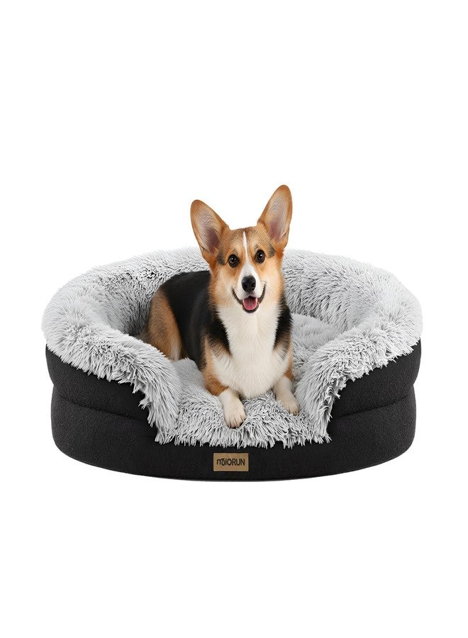 Miorun Fluffy Orthopedic Dog Bed for Small & Medium Dogs and Cats, Calming Plush Sofa Bed with Curved Bolster Support and Egg-Crate Foam Base, 35" Cozy Oval Pet Donut Bed with Washable Cover, Gray - Image 1