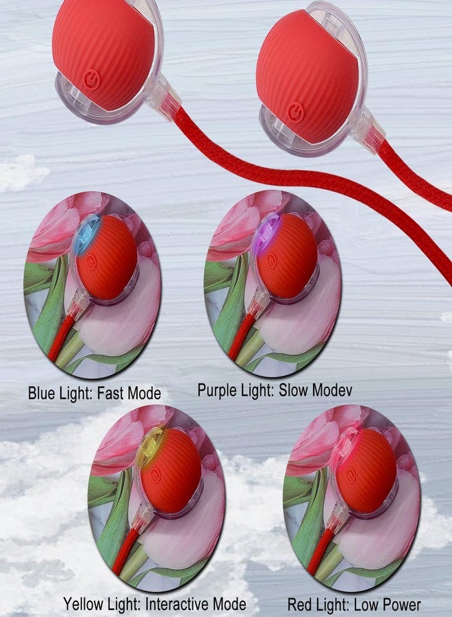 AebDerp Interactive Cat Dog Toy Ball: Indoor Small Automatic Moving Smart Rolling Fun Pet Game with Led Light and String Tail for Motion Activated, Cute Kitten Puppy Present, Exercise Wheel Supplies (Red) - Image 4