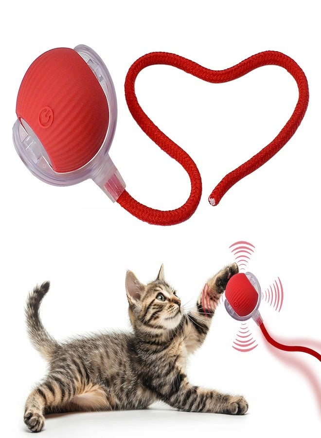 AebDerp Interactive Cat Dog Toy Ball: Indoor Small Automatic Moving Smart Rolling Fun Pet Game with Led Light and String Tail for Motion Activated, Cute Kitten Puppy Present, Exercise Wheel Supplies (Red) - Image 1