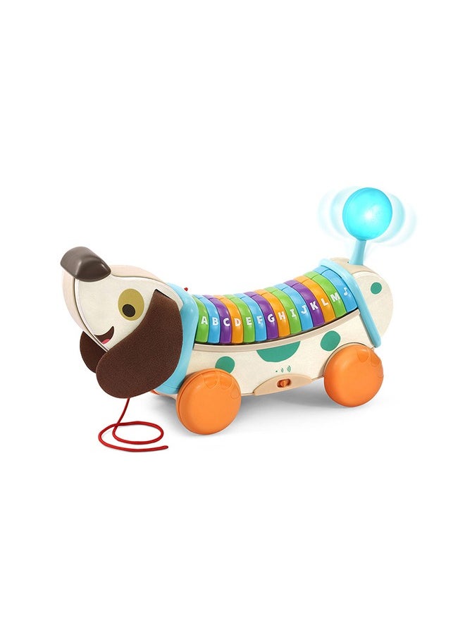 LeapFrog Leapfrog Wooden Alphapup, Wooden Toddler Toys for 1 2 3 Years Old Boys Girls, Number Counting Toys First Birthday Gifts for 1-2 Years, Preschool Educational Fine Motor Skills Toy  - Image 3