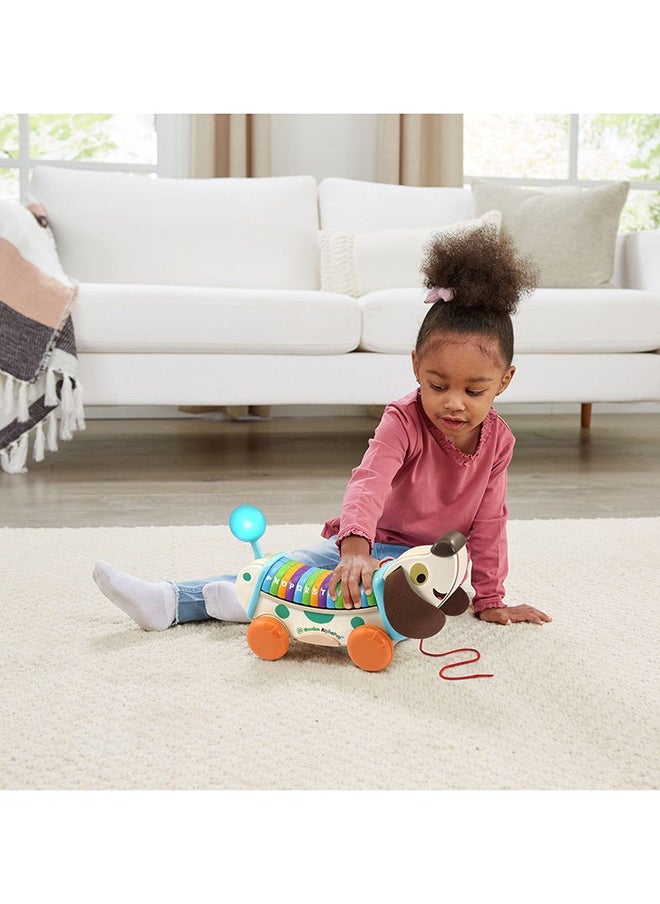 LeapFrog Leapfrog Wooden Alphapup, Wooden Toddler Toys for 1 2 3 Years Old Boys Girls, Number Counting Toys First Birthday Gifts for 1-2 Years, Preschool Educational Fine Motor Skills Toy  - Image 4