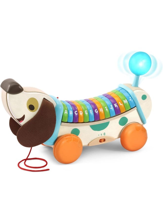 LeapFrog Wooden Alphapup, Wooden Toddler Toys For 1 2 3 Years Old Boys Girls, Number Counting Toys First Birthday Gifts For 1-2 Years, Preschool Educational Fine Motor Skills Toy  - Image 3