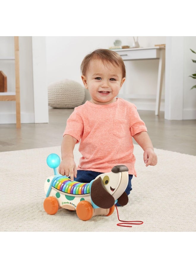 LeapFrog Wooden Alphapup, Wooden Toddler Toys For 1 2 3 Years Old Boys Girls, Number Counting Toys First Birthday Gifts For 1-2 Years, Preschool Educational Fine Motor Skills Toy  - Image 5