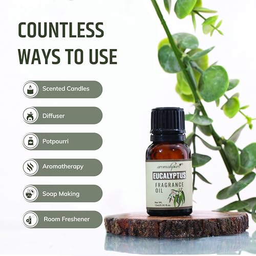 Aromahpure Fragrance Oil | 15 ml | Eucalyptus Aroma Oil for Home Fragrance | Best for Aromatherapy | Helps in Meditation | Used in Diffusers, Candles, Air Fresheners, Soaps, IFRA Certified - Image 5