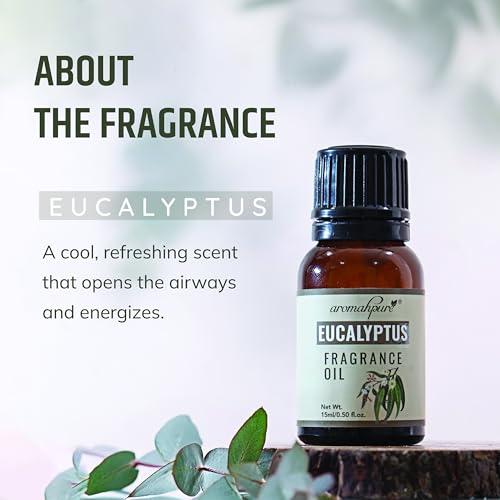 Aromahpure Fragrance Oil | 15 ml | Eucalyptus Aroma Oil for Home Fragrance | Best for Aromatherapy | Helps in Meditation | Used in Diffusers, Candles, Air Fresheners, Soaps, IFRA Certified - Image 2