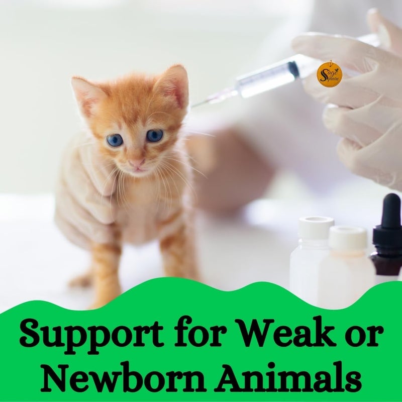 Sage Square حقنة تغذية يدوية سعة 12 مل مع طرف منحني | مجموعة إبرة وحقنة للتغذية | تغذية دقيقة أصبحت بسيطة، حقنة طرفها منحني للطيور، والهامستر، والجرو، والقطط، وأكثر - Image 3