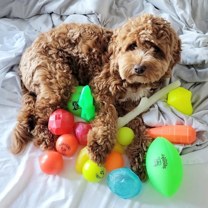 Spunky pup Squeak & Glow in the Dark Football Dog Toy | Non Toxic Day & Night Toss Footballs for Dogs | Indoor & Outdoor Active Fetch Play | Durable Waterproof & Floats | Assorted Colors - Image 4