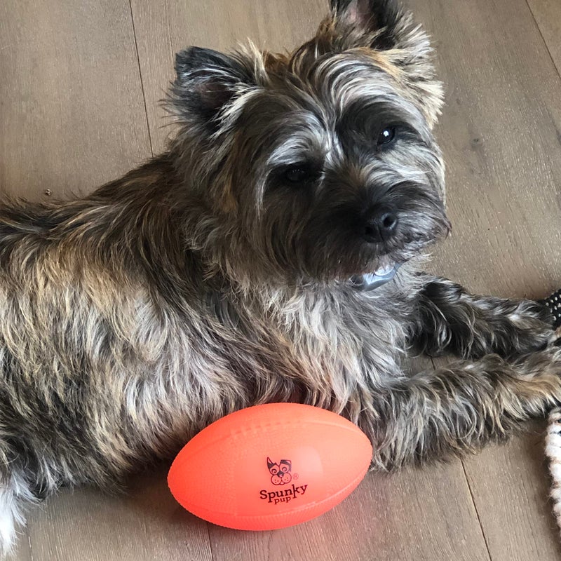 Spunky pup Squeak & Glow in the Dark Football Dog Toy | Non Toxic Day & Night Toss Footballs for Dogs | Indoor & Outdoor Active Fetch Play | Durable Waterproof & Floats | Assorted Colors - Image 2