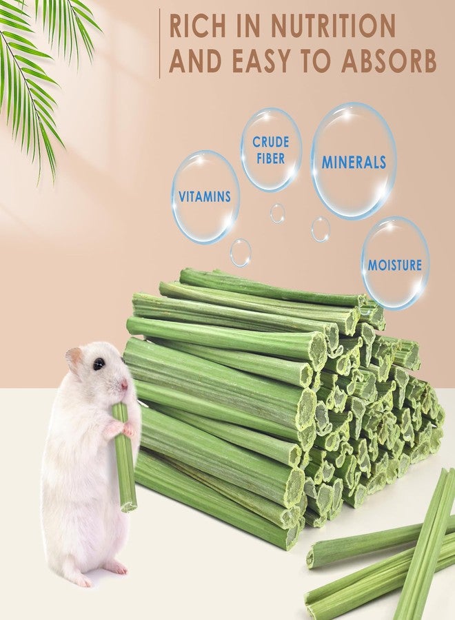 Bissap 100PCS Rabbit Chew Sticks, Natural Papaya Stems Bunny Chews Treats for Rabbits Hamsters Chinchillas Guinea Pigs Small Animals Organic Molar Chewing Snack - Image 2