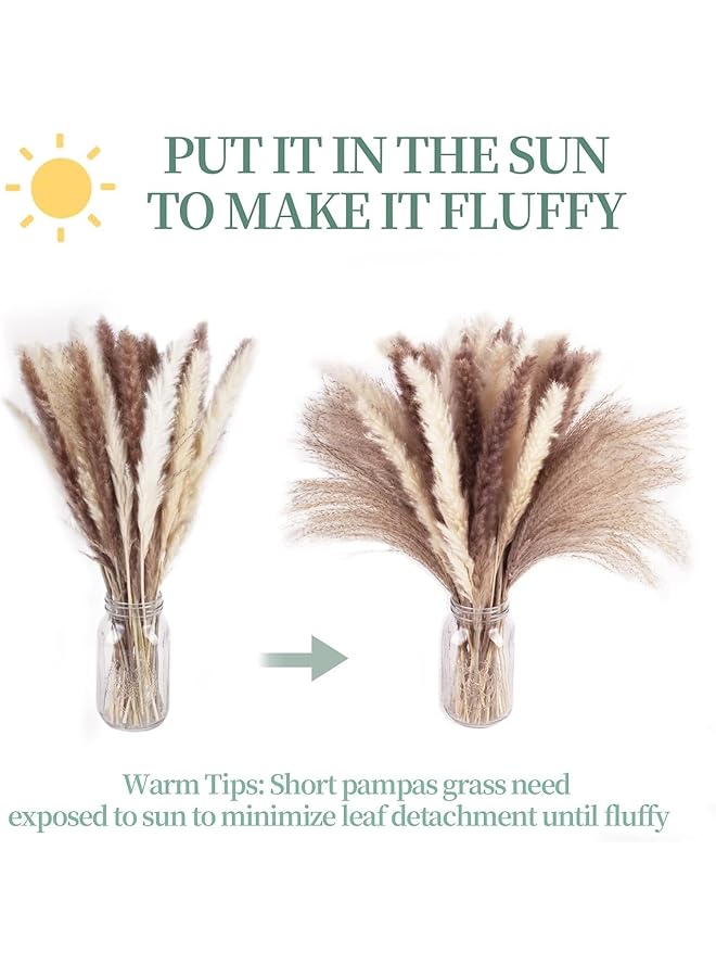 erorex Natural Dried Pampas Grass Bouquet : Brown White Reed Pampas Floral Arrangements Decorations For Home Room Office Party Decor 60Pcs  - Image 5