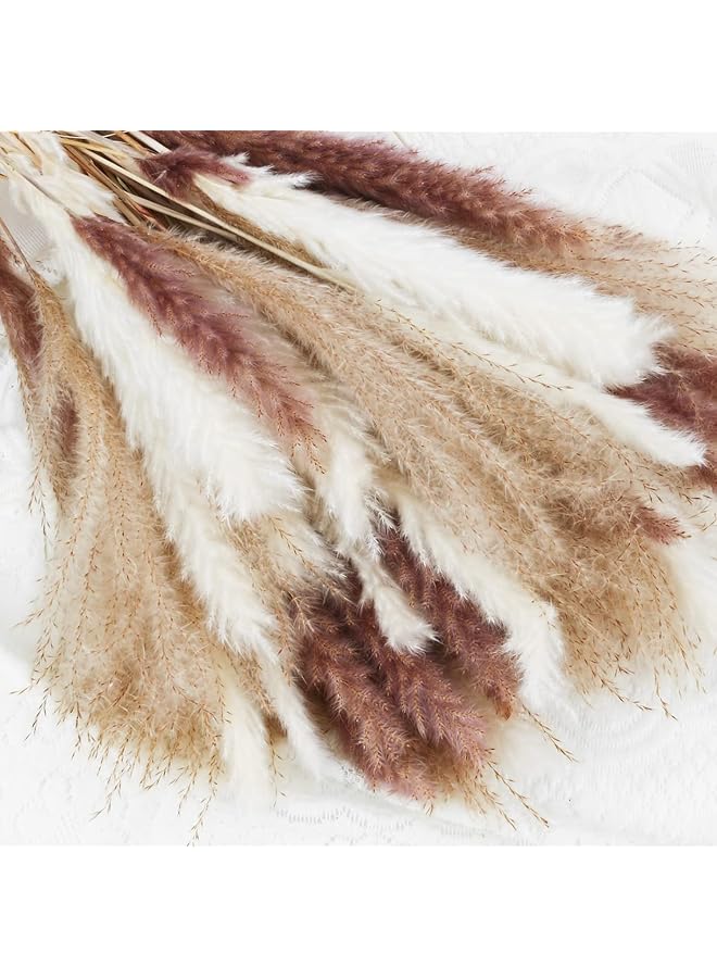 erorex Natural Dried Pampas Grass Bouquet : Brown White Reed Pampas Floral Arrangements Decorations For Home Room Office Party Decor 60Pcs  - Image 2