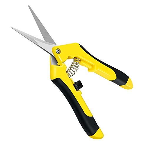 iPower 6.5 inch Pruning Shears for Gardening Trimming Scissors, Hand Pruner, Stainless Steel, Yellow - Image 1