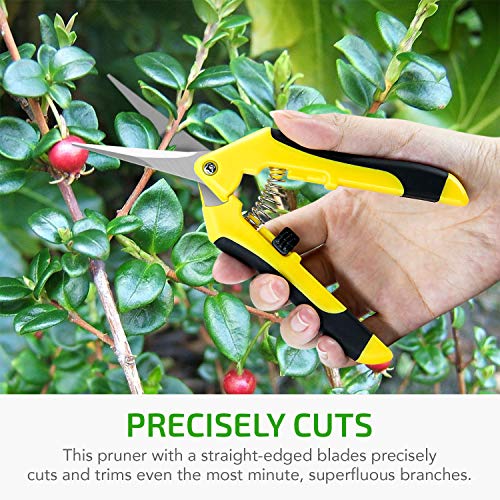 iPower 6.5 inch Pruning Shears for Gardening Trimming Scissors, Hand Pruner, Stainless Steel, Yellow - Image 3