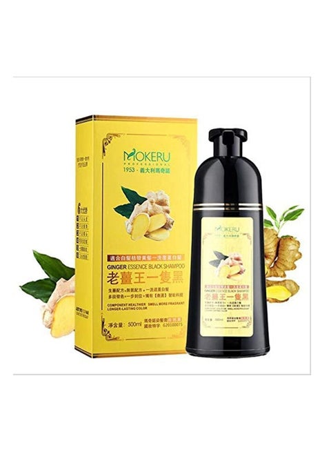 Quick Black in 5 Minutes Mokeru 500ml Shampoo