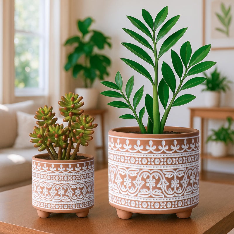 D'vine Dev Set of 2 Terracotta Planter Pots, 4 Inch & 6 Inch, Design Plants Pot with Drainage Hole, Terracotta Bloom, Terracotta/White, 31-953-F-1 - Image 4