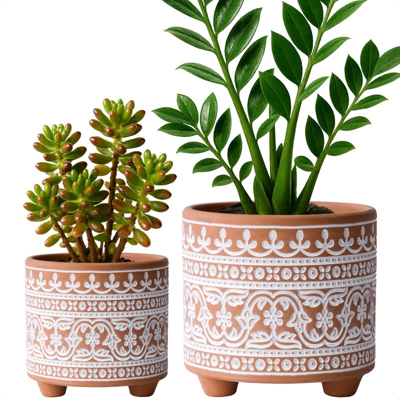 D'vine Dev Set of 2 Terracotta Planter Pots, 4 Inch & 6 Inch, Design Plants Pot with Drainage Hole, Terracotta Bloom, Terracotta/White, 31-953-F-1 - Image 1