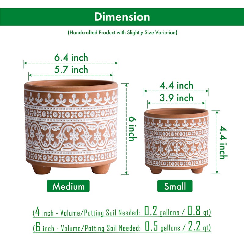 D'vine Dev Set of 2 Terracotta Planter Pots, 4 Inch & 6 Inch, Design Plants Pot with Drainage Hole, Terracotta Bloom, Terracotta/White, 31-953-F-1 - Image 3