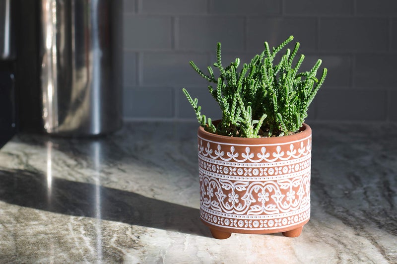 D'vine Dev Set of 2 Terracotta Planter Pots, 4 Inch & 6 Inch, Design Plants Pot with Drainage Hole, Terracotta Bloom, Terracotta/White, 31-953-F-1 - Image 2