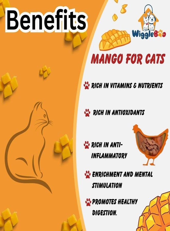 WiggleBoo مكافآت ويغل بو للقطط بنكهة الدجاج والمانجو | غنية بالبروتين | غنية بالألياف | وجبات خفيفة صحية مقرمشة (45 غرام) - Image 3
