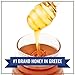 Attiki Pure Greek Honey with Wild Flora and Thyme Perfect for Baking Cooking Lemonade and Tea 16 oz 453 grams Glass Jar - Image 4