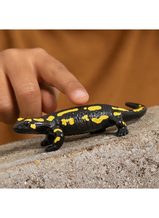 Schleich Wild Life Fire Salamander Lizard Figure (2.54 cm) - pzsku/Z6C6B9A648386766188CFZ/45/_/1737463943/0be95e14-6b7d-44e3-9631-366d8b280e06