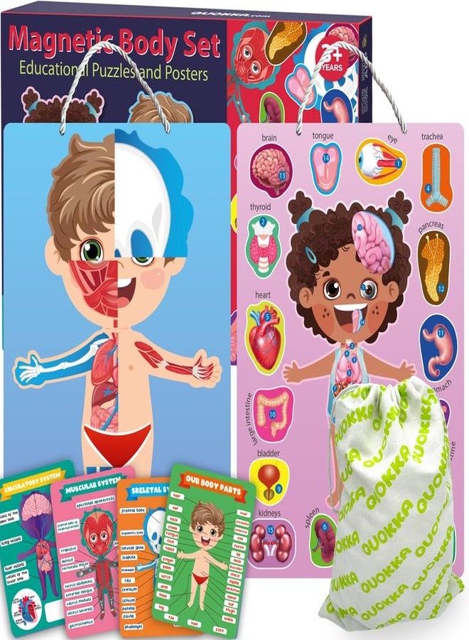 QUOKKA Magnetic Puzzles for Kids – Montessori Puzzles for Toddlers 3-5 – Preschool Game Learning Human Body Parts Anatomy Skeleton – Educational Toys for Boy & Girl - Image 1
