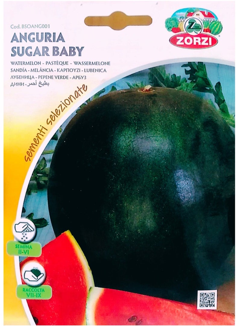 ZORZI - Watermelon Seeds - Image 1