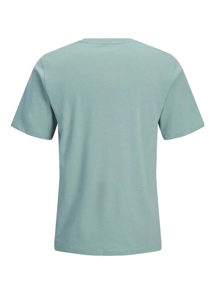 JACK & JONES Crew Neck regular fit T-shirt