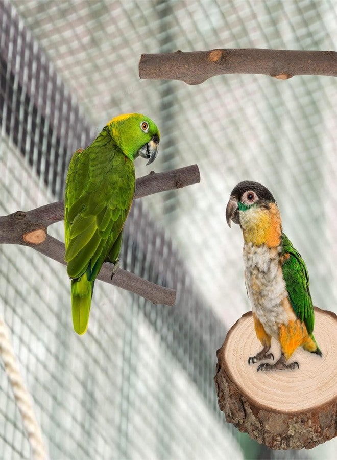 Allazone 7 PCS Natural Wooden Perch Bird Stand Parrot Perch Stand Bird Climbing Standing Branches Toy for Small Lovebirds Budgies Cockatiels - Image 3