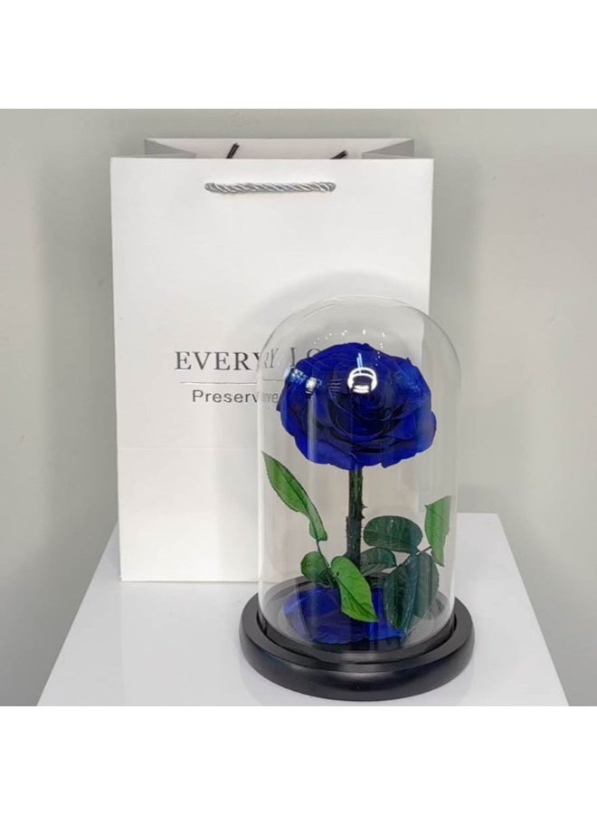 Generic Forever Rose Dark Blue Fresh Flowers 