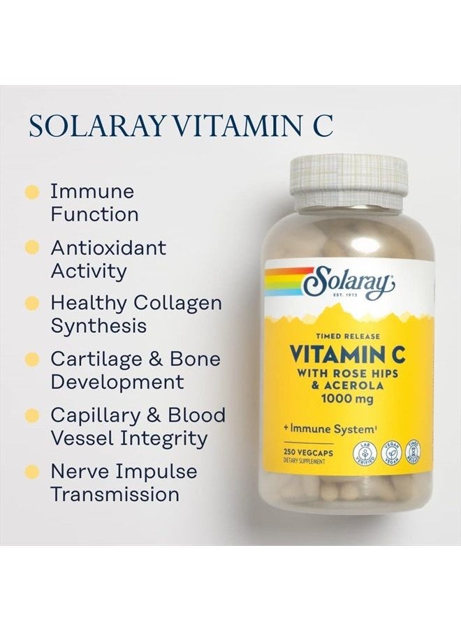Solaray - Vitamin C 1000mg Timed Release Capsules with Rose Hips & Acerola Bioflavonoids, Two-Stage for High Absorption & All Day Immune Function Support, 60 Day Guarantee, 250 Servings, 250 VegCaps - Image 1