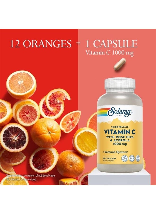 Solaray - Vitamin C 1000mg Timed Release Capsules with Rose Hips & Acerola Bioflavonoids, Two-Stage for High Absorption & All Day Immune Function Support, 60 Day Guarantee, 250 Servings, 250 VegCaps - Image 1
