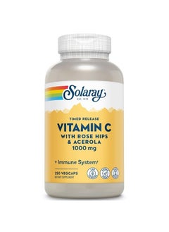 Vitamin C 1000mg Timed Release Capsules with Rose Hips & Acerola Bioflavonoids, Two-Stage for High Absorption & All Day Immune Function Support, 60 Day Guarantee, 250 Servings, 250 VegCaps