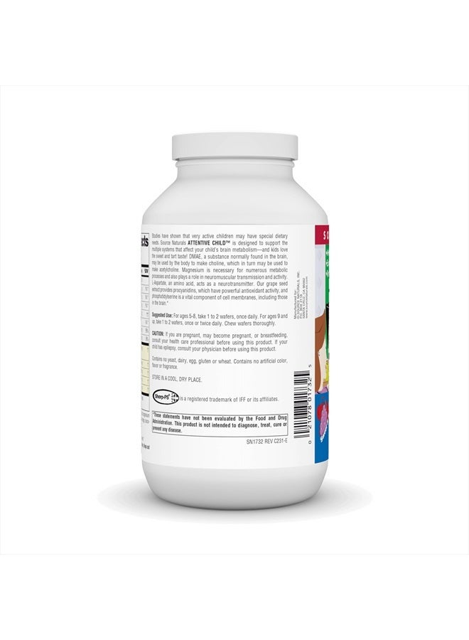Source Naturals Attentive Child Chewable Wafers for Brain Metabolism Support - 120 Fruit Wafers - Image 3