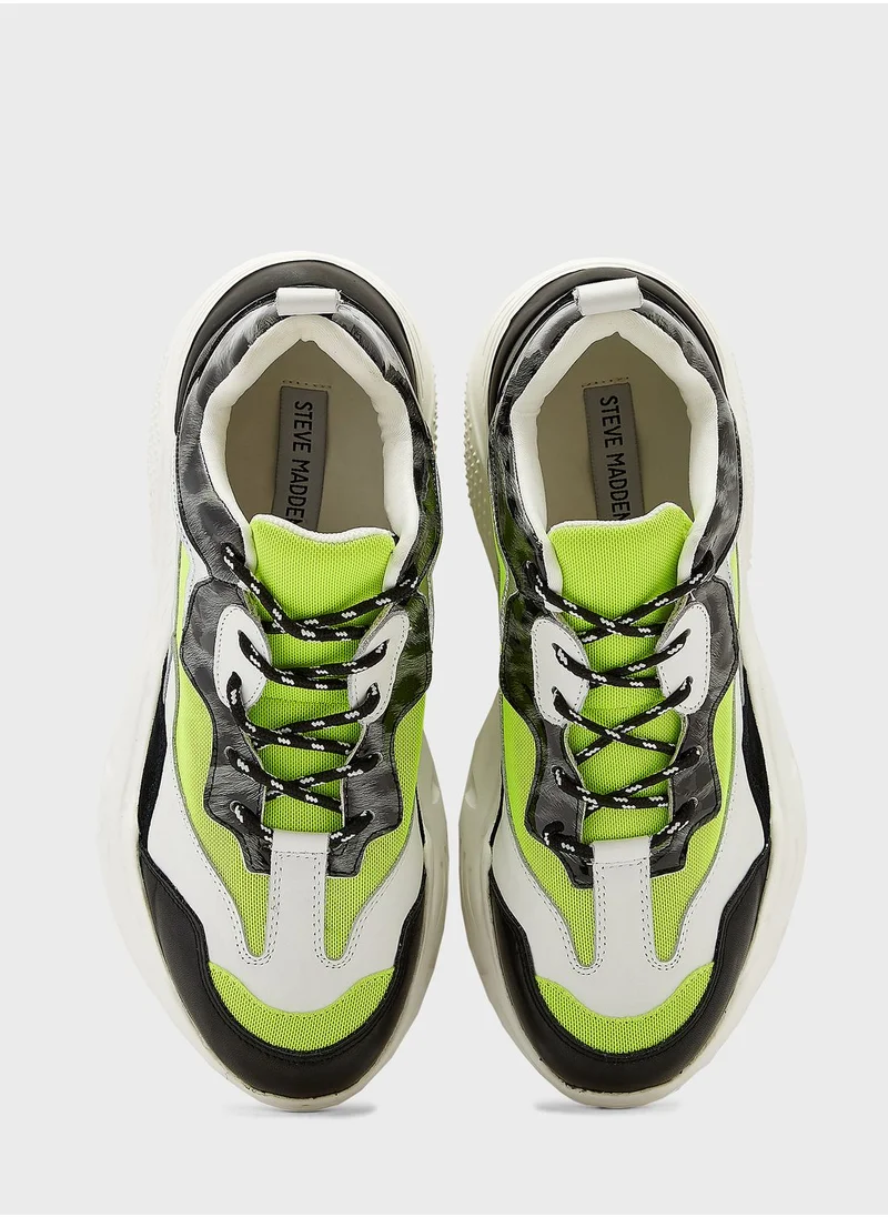 STEVE MADDEN Comfortable Antonia Sneakers
