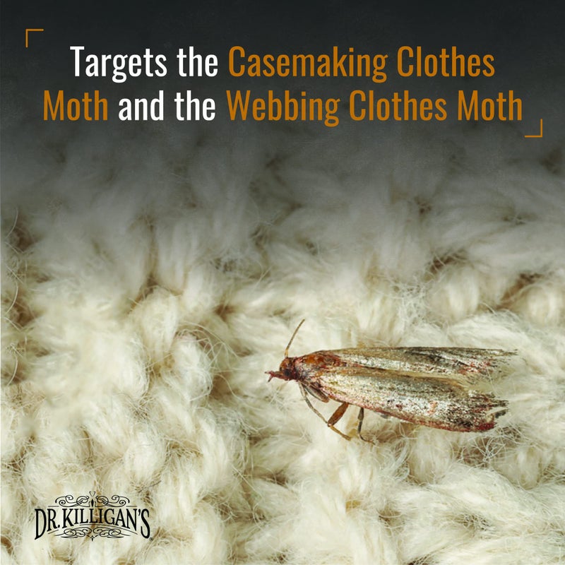 Dr. Killigan's Premium Double Potent Clothing Moth Traps with Pheromones Prime, Organic Clothes Moth Trap with Lure for Closets & Carpet, Case Making & Web Spinning (6 Pack, Black) - Image 4