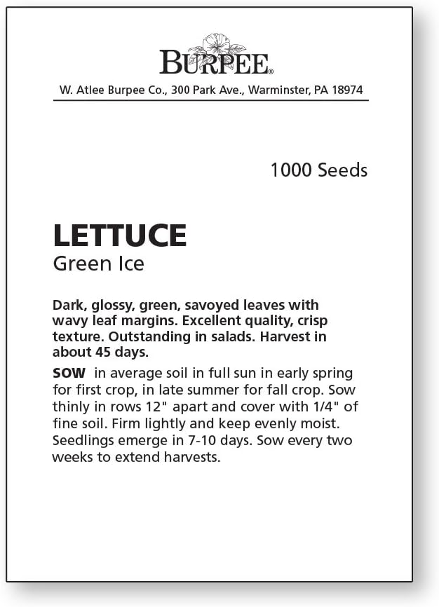 Burpee Green Ice Lettuce Seeds 1000 seeds - Image 5