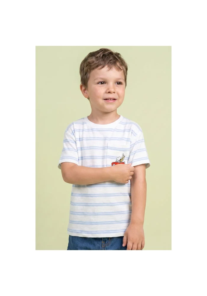 R&b Striped T-Shirt with Crew Neck and Short Sleeves