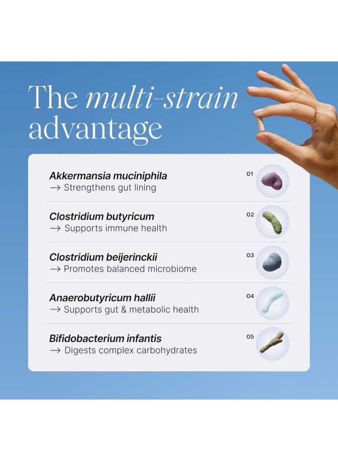 البندول ميتابوليكي ديلي (Metabolic Daily) - بكتيريا حيوية متعددة السلالات مع Akkermansia muciniphila لدعم التمثيل الغذائي ومواصلة مستويات الطاقة - للذكور والنساء - 30 كبسولة - Image 3