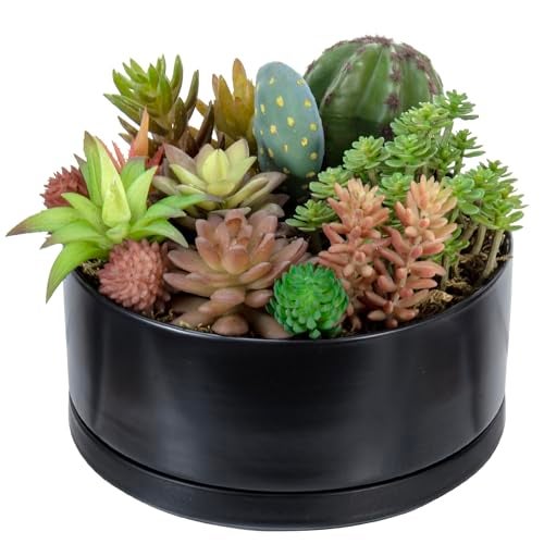 MyGift 8 Inch Black Ceramic Succulent Planter Pot - Decorative Flower Plant Bowl with Removable Saucer - Image 2