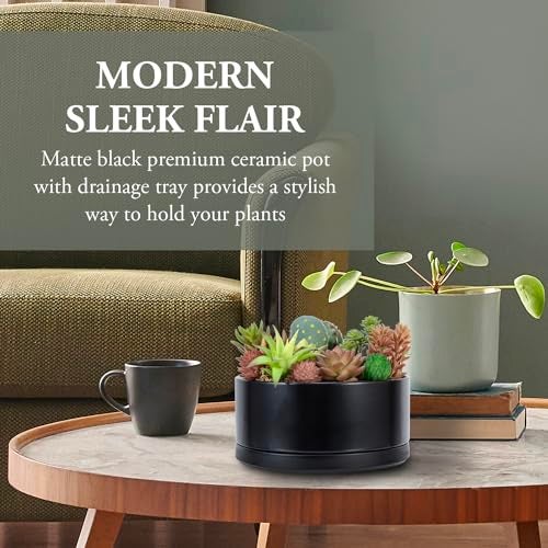 MyGift 8 Inch Black Ceramic Succulent Planter Pot - Decorative Flower Plant Bowl with Removable Saucer - Image 4