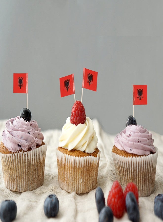 QQSD Albania Toothpick Flag Albanian Small Mini Cupcake Topper Flags,100 pcs - Image 3