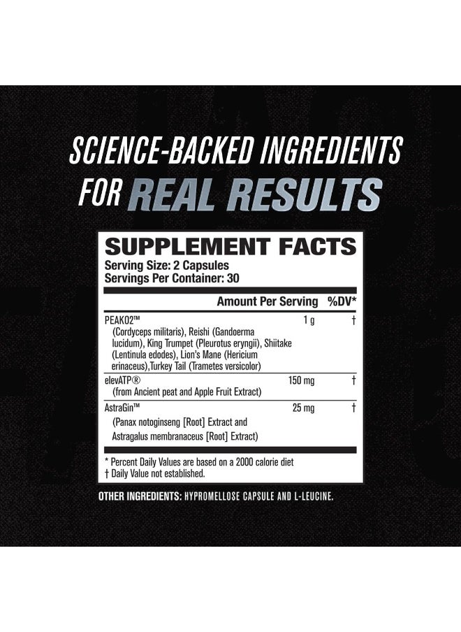Build-Xt Muscle Builder - Daily Building Supplement - 60 Veggie Pills