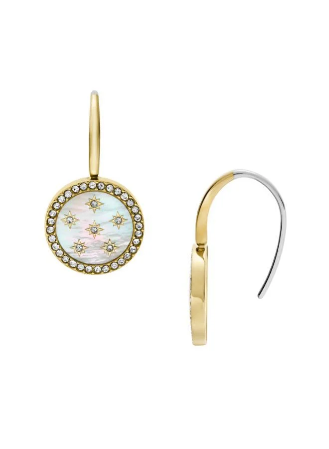Fossil Jf04867710 Drop Earring